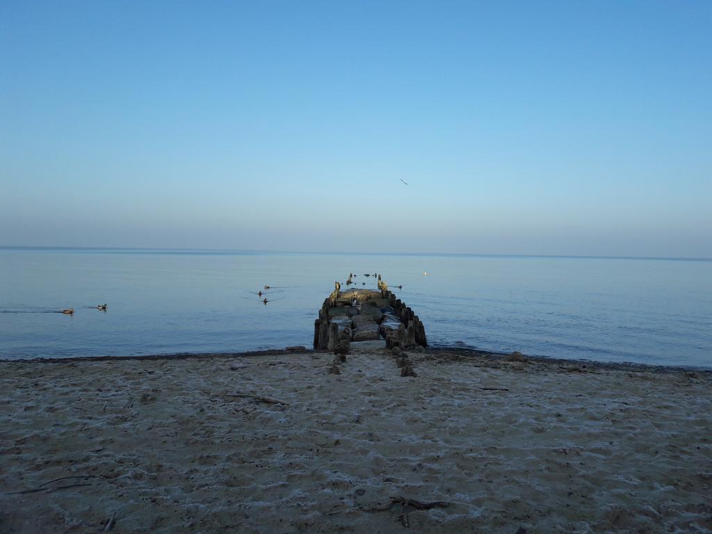 Appartamento Seaside Lesne Tarasy Dziwnówek Esterno foto